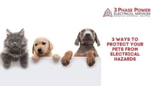 Protect Your Pets From Electrical Hazards